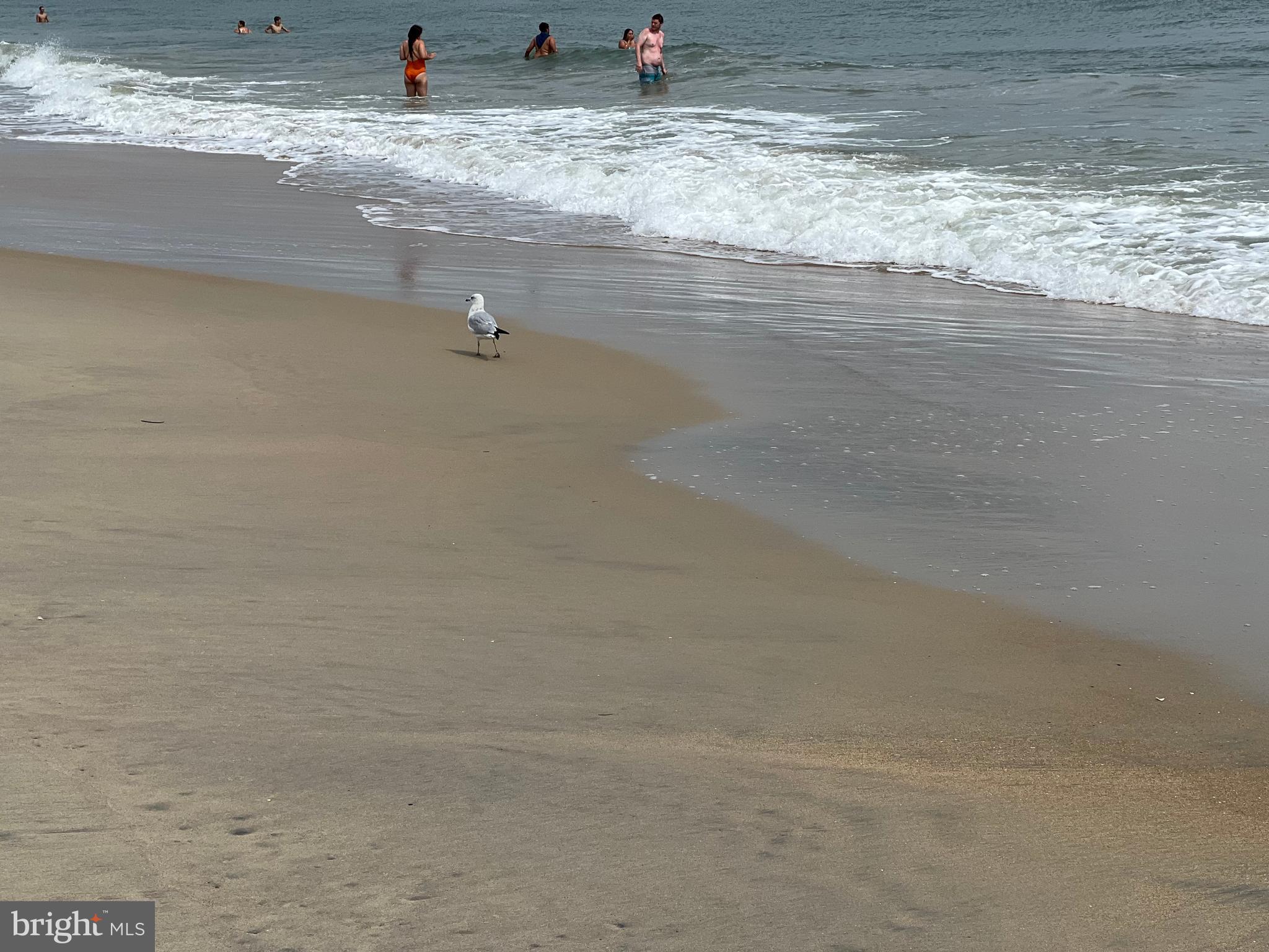 DOWNTOWN OC - Residential