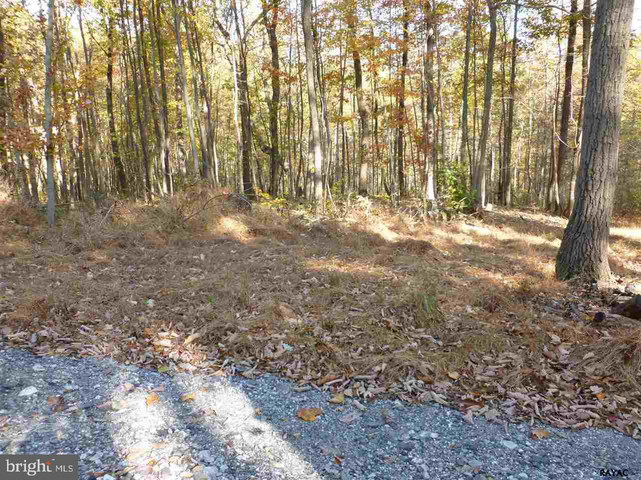 2 for the price of 1! Two 6 acre building lots being sold together. Perfect for family estates that want to build next to each other. Beautiful wooded land. Private, great for hunting. Properties share a driveway. First 1200 ft of driveway has already been installed. Small stream at back of property. No restrictions. Possible short term owner financing. Perc appr
