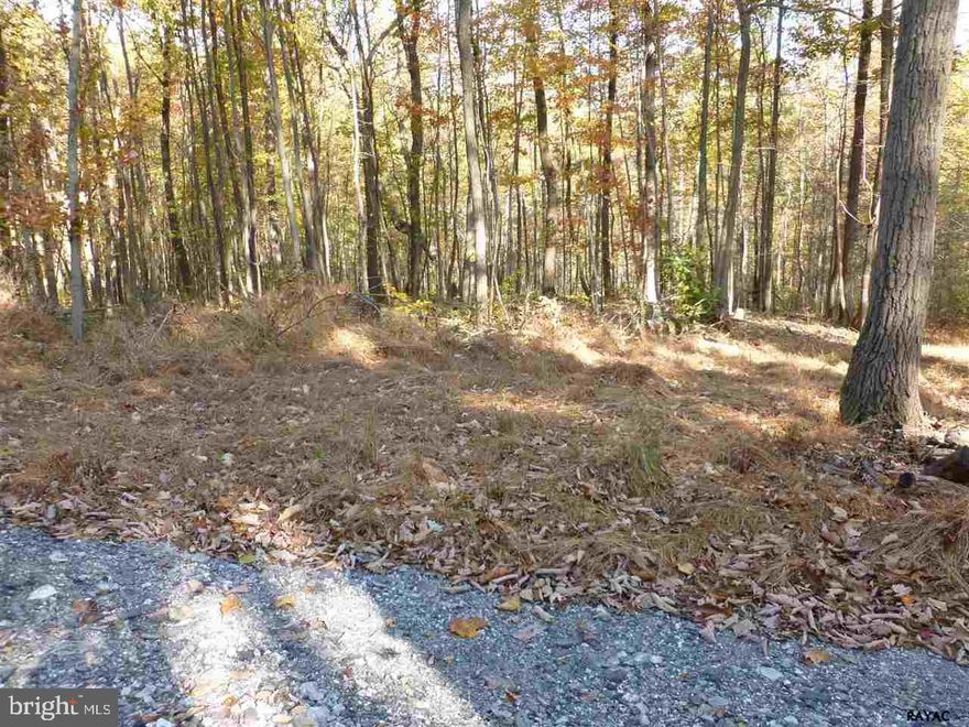 2 for the price of 1! Two 6 acre building lots being sold together. Perfect for family estates that want to build next to each other. Beautiful wooded land. Private, great for hunting. Properties share a driveway. First 1200 ft of driveway has already been installed. Small stream at back of property. No restrictions. Possible short term owner financing. Perc appr