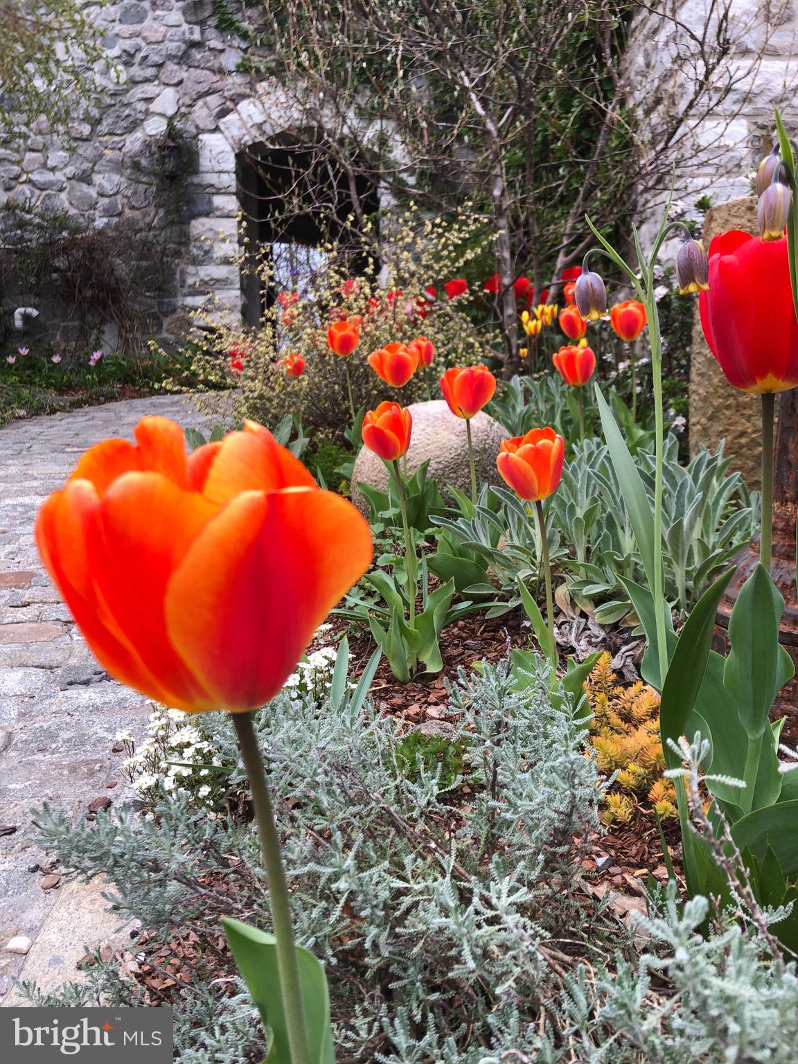 LAUREL RIDGE FARMS - Residential