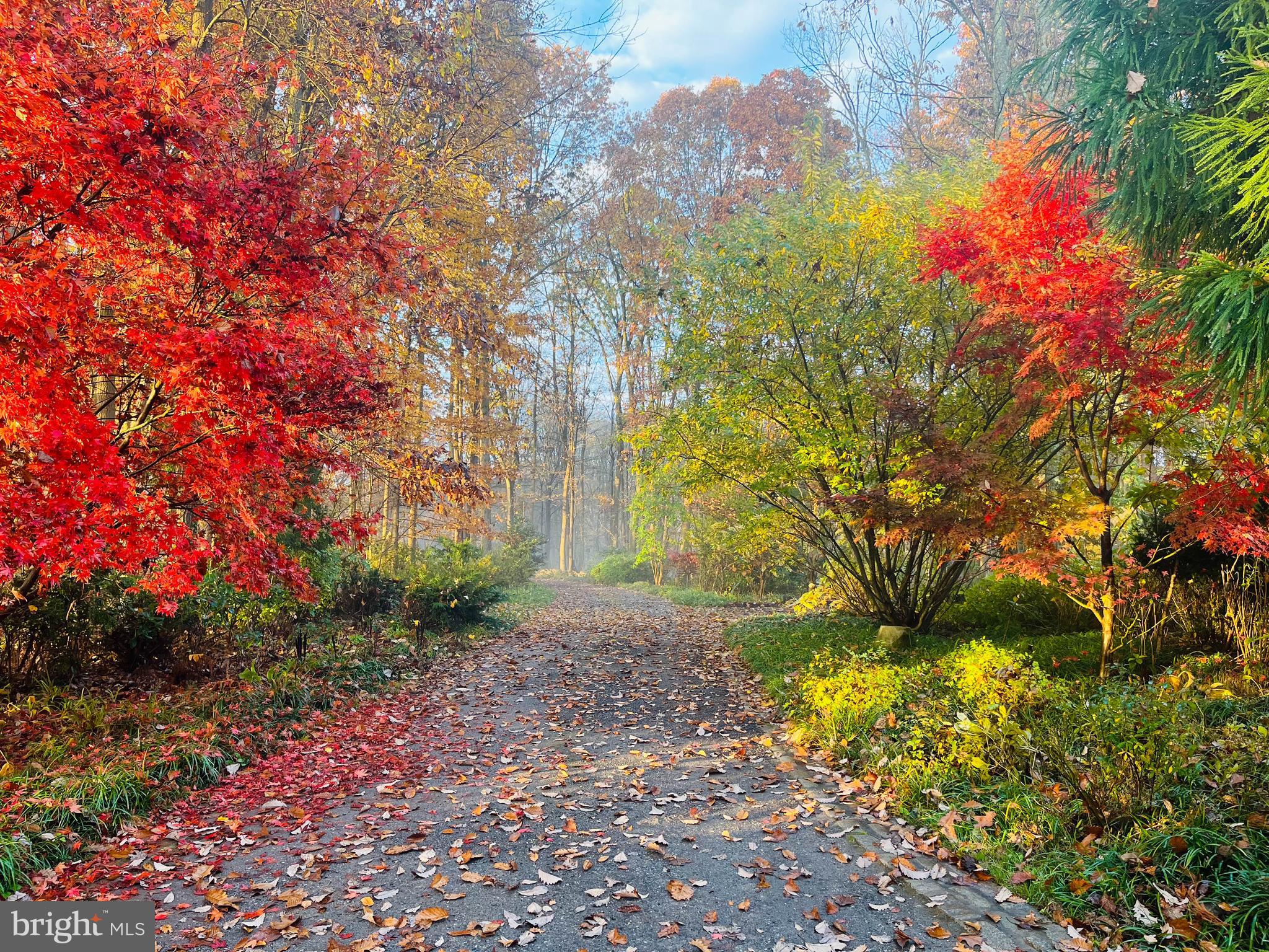 LAUREL RIDGE FARMS - Residential