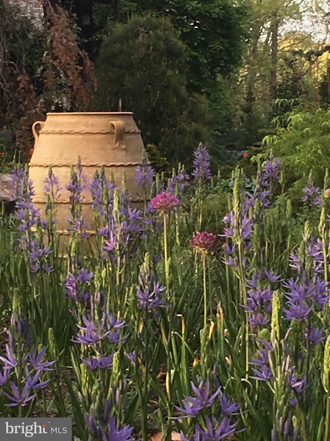 LAUREL RIDGE FARMS - Residential