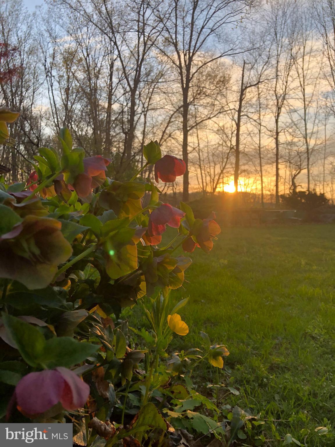 LAUREL RIDGE FARMS - Residential