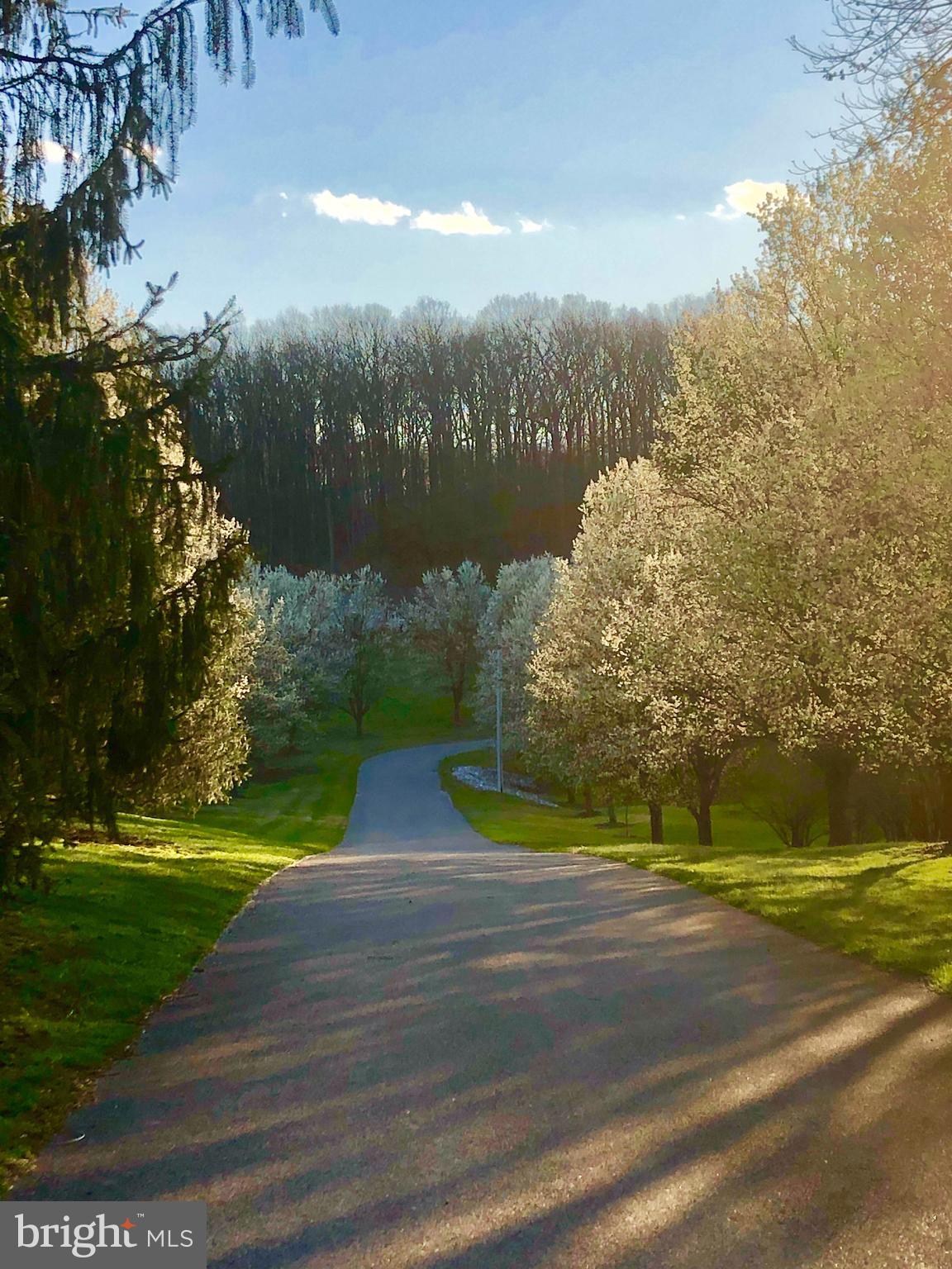 LAUREL RIDGE FARMS - Residential