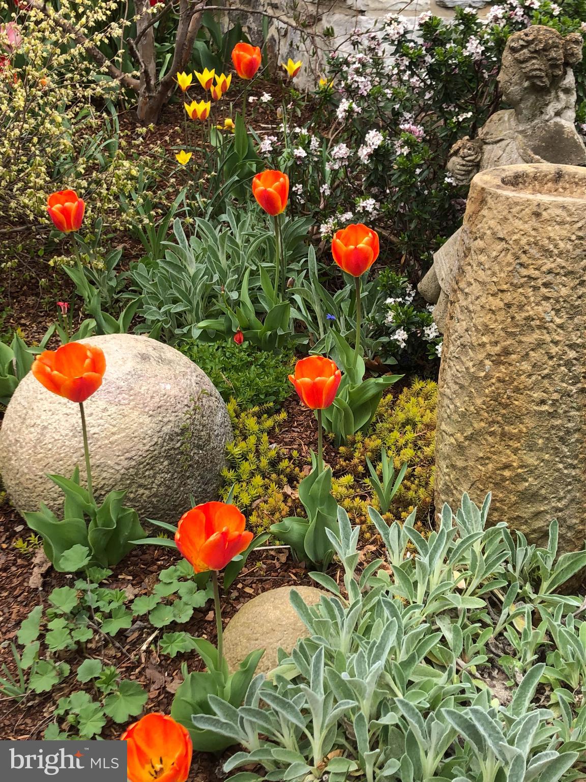 LAUREL RIDGE FARMS - Residential