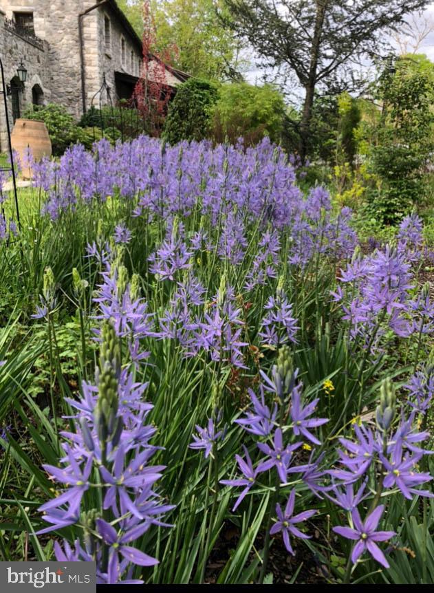 LAUREL RIDGE FARMS - Residential