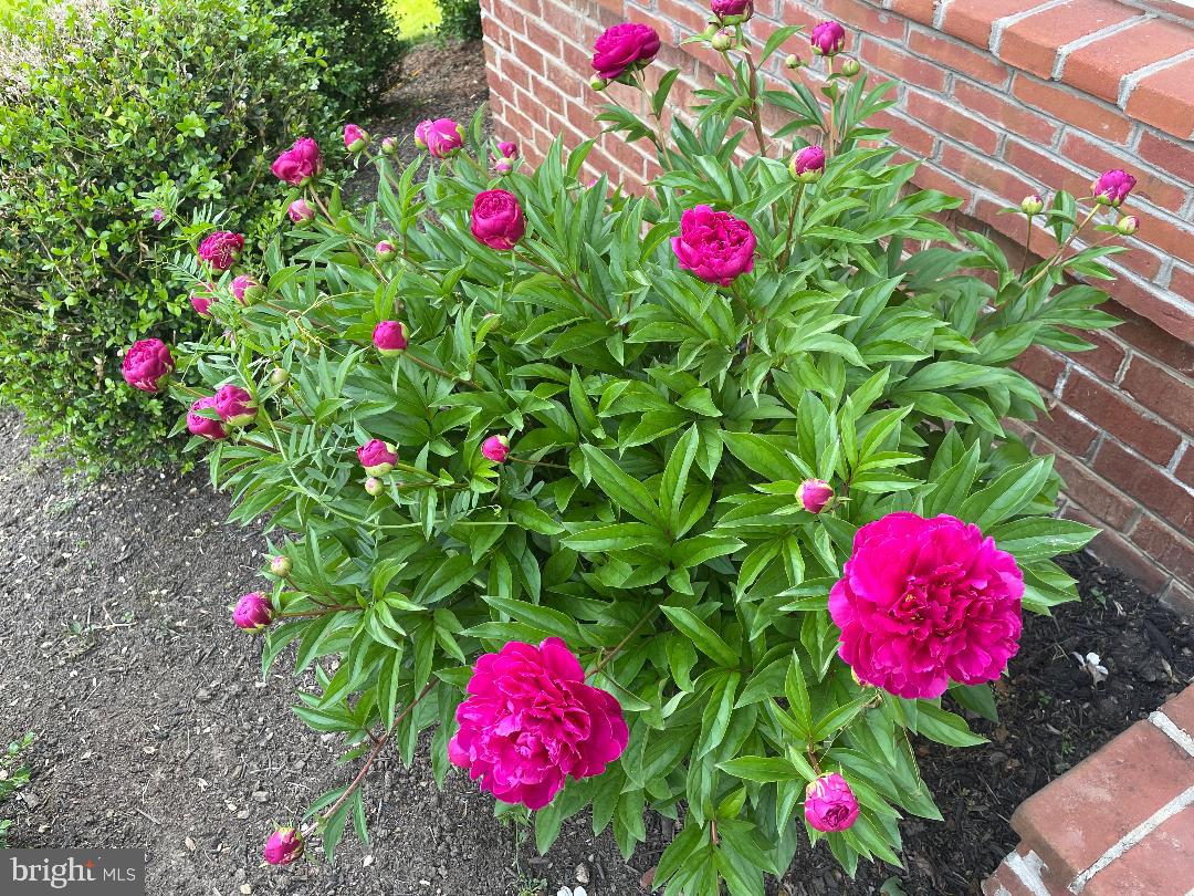 FERNBANK - Residential