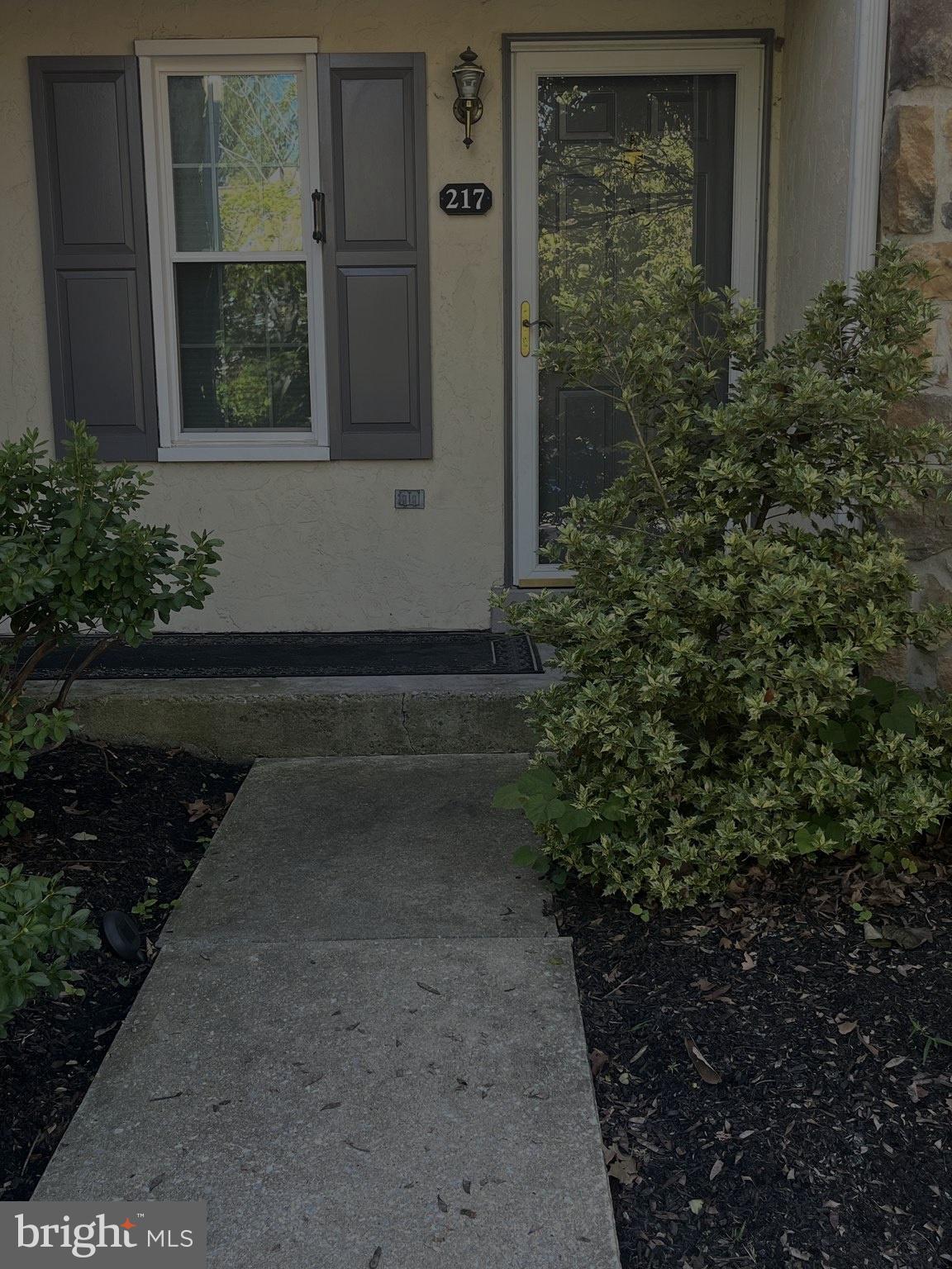 217 VALLEY STREAM LANE