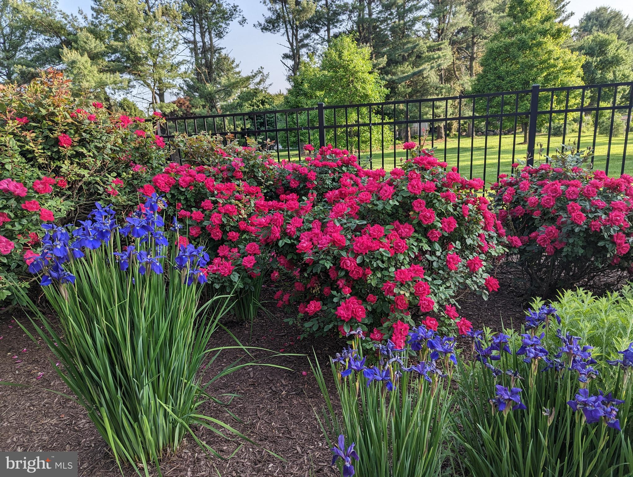 OAKWOOD OVERLOOK - Residential