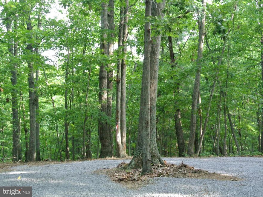 18.9 ac ready to build! Blue Ridge Mountain Views when clear for house site. 4 BR conventional, gravity septic. Just 10 min to Culpr. on north end w/easy access to R-229 commute. On paved State Rd. Walking trails galore. Wonderful, new, wide driveway. House location has privacy. Surveyed & approved. Comcast avail on road. Builder avail if needed or use yours.