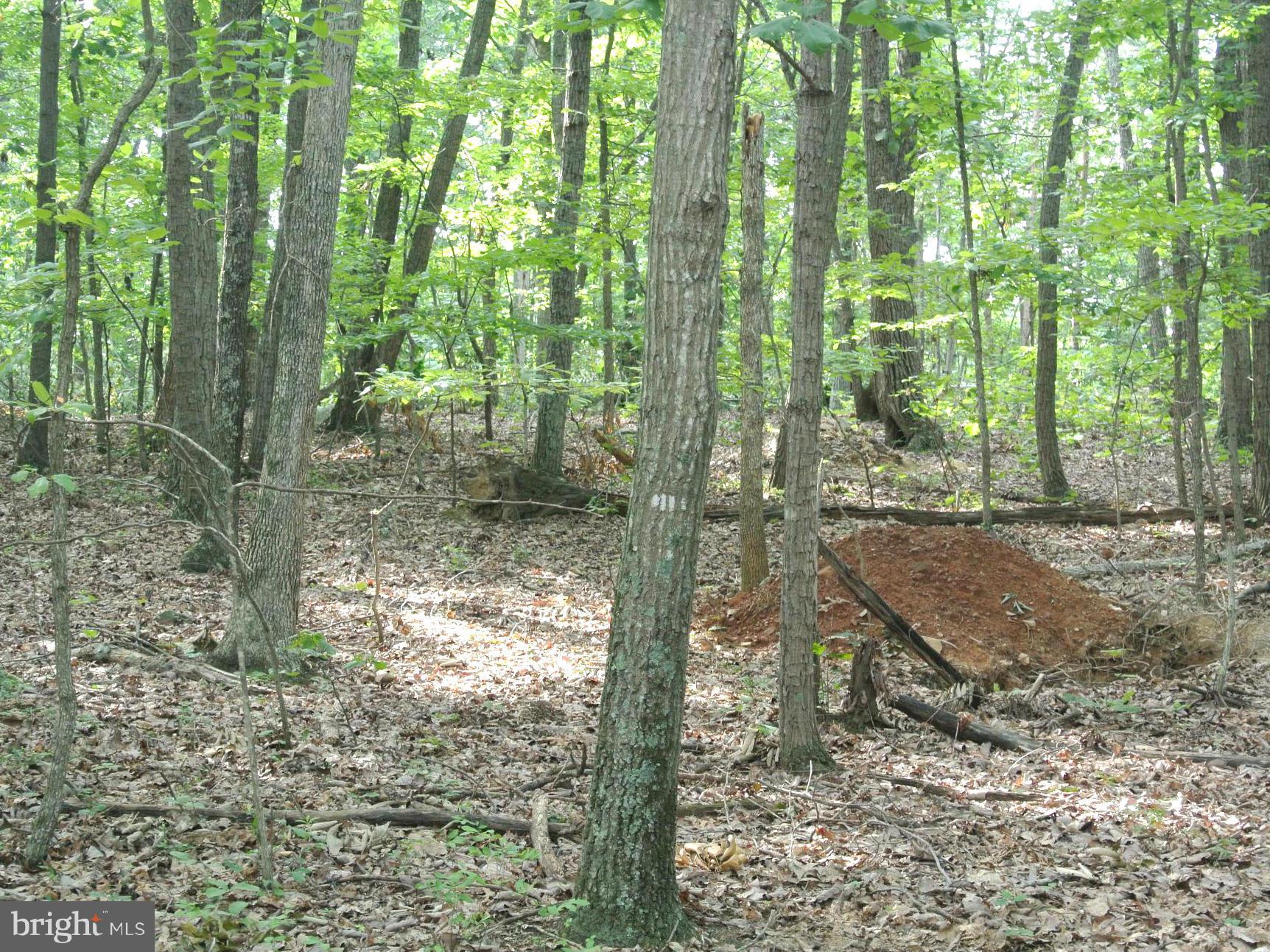 NONE AVAILABLE - Land