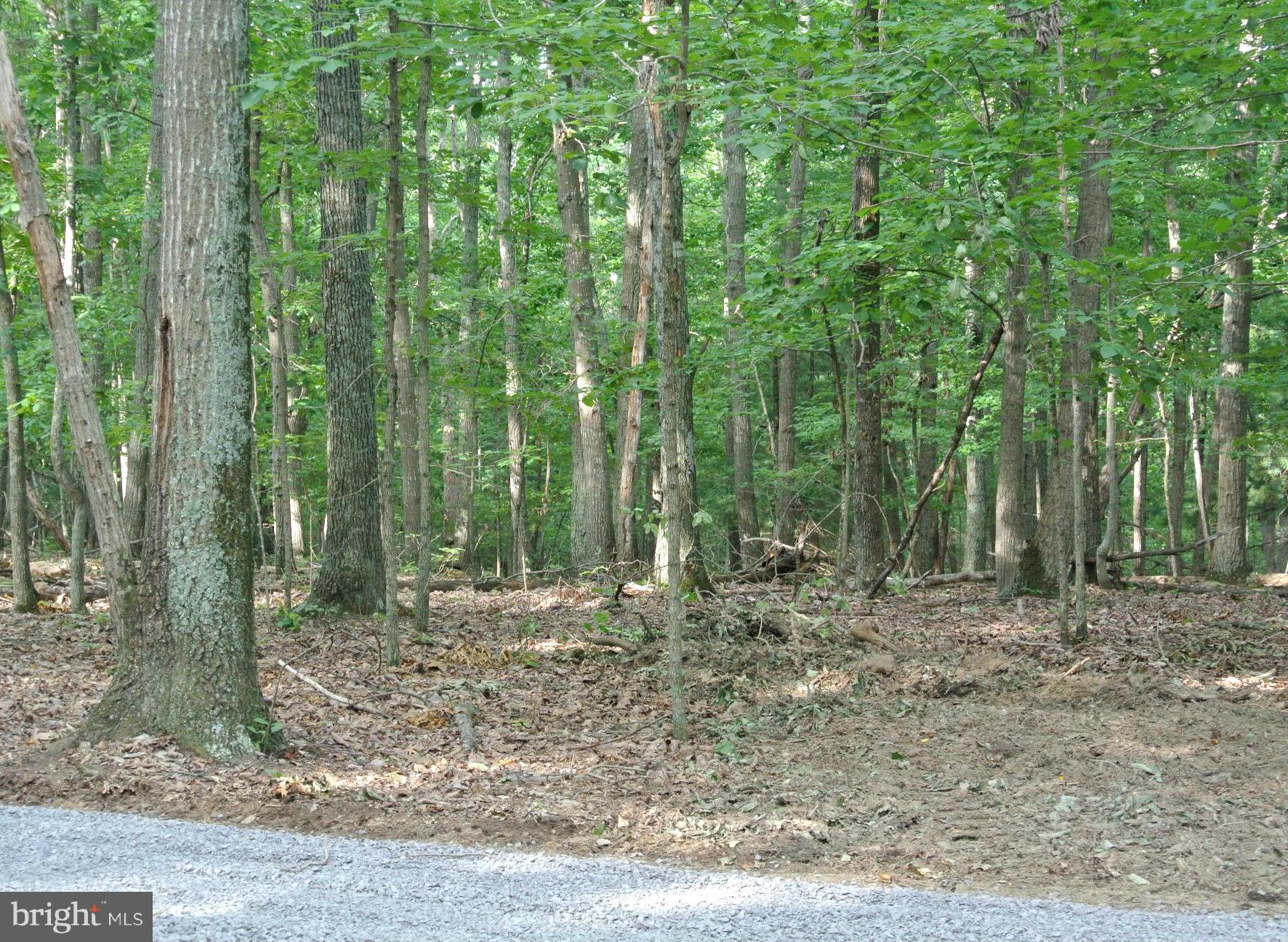 NONE AVAILABLE - Land