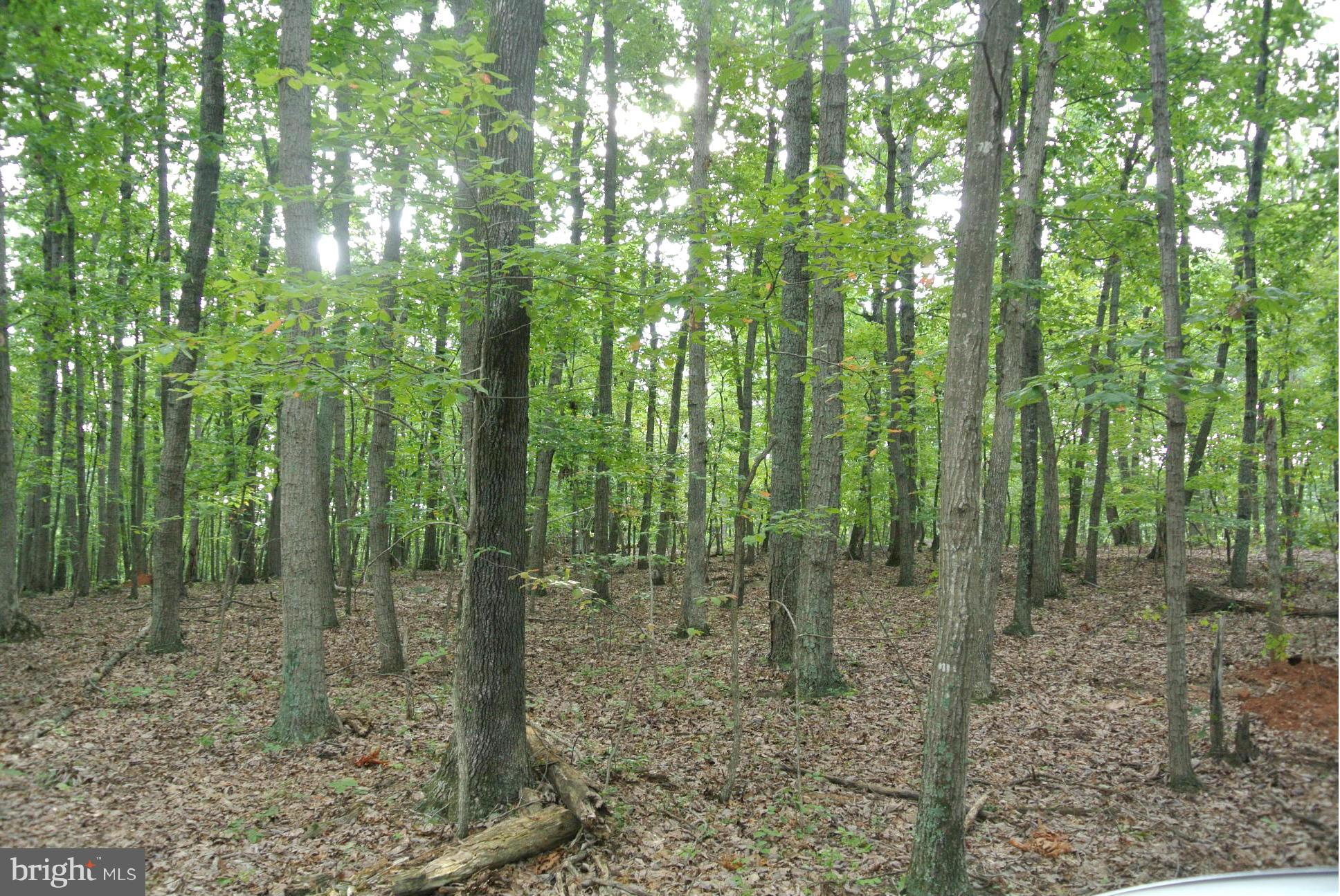 NONE AVAILABLE - Land