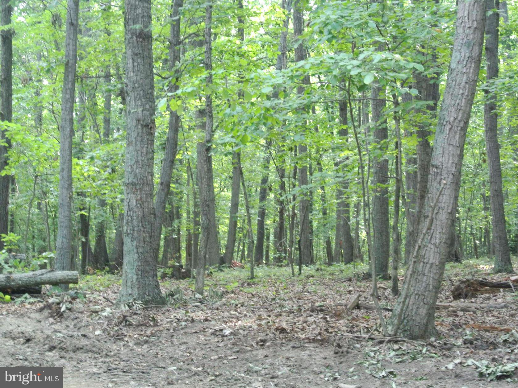 NONE AVAILABLE - Land