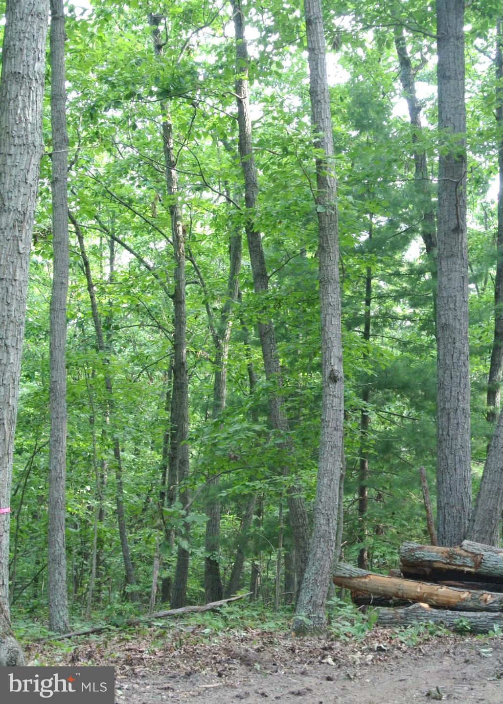 NONE AVAILABLE - Land