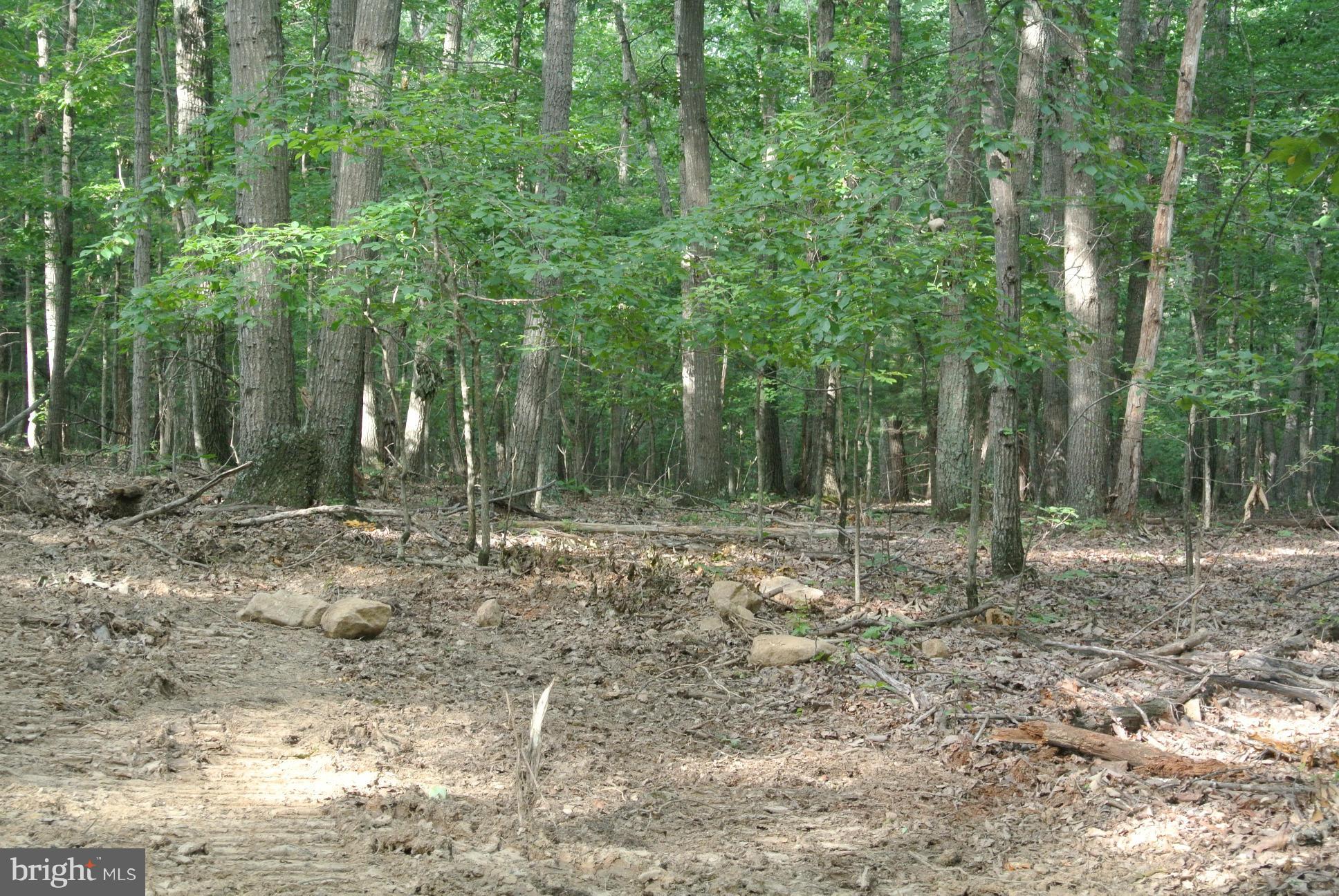 NONE AVAILABLE - Land