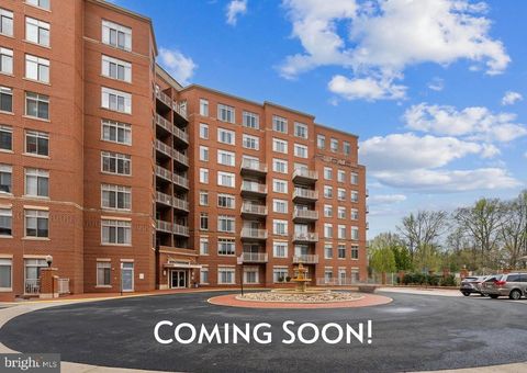 4480 MARKET COMMONS DRIVE 416 FAIRFAX VA 22033