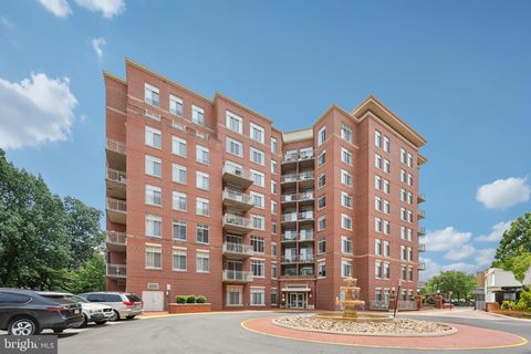 4480 MARKET COMMONS DRIVE 416 FAIRFAX VA 22033