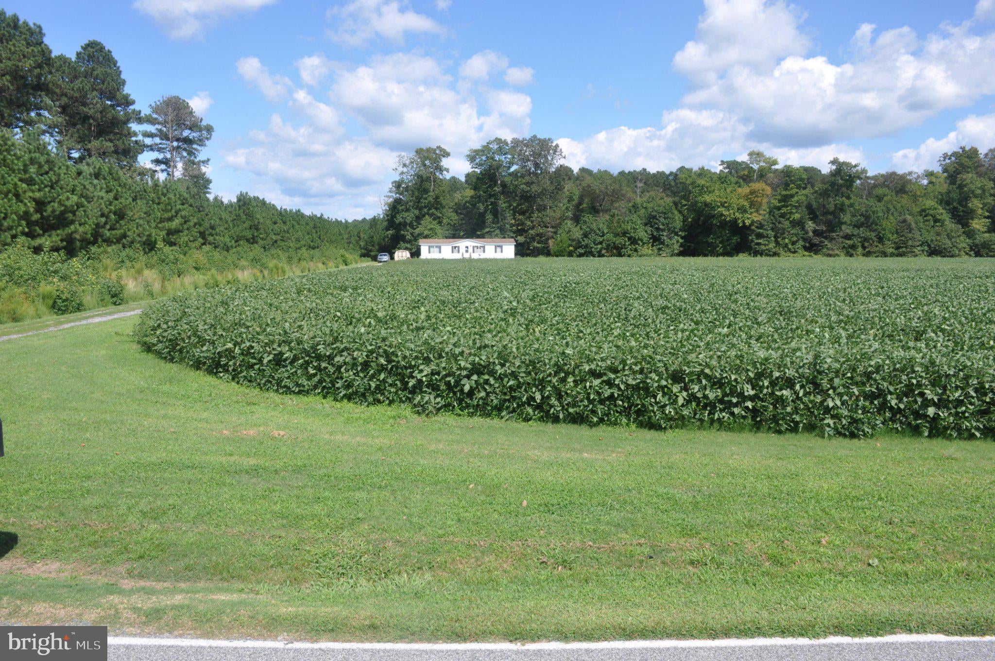 7273 MENNONITE CHURCH ROAD