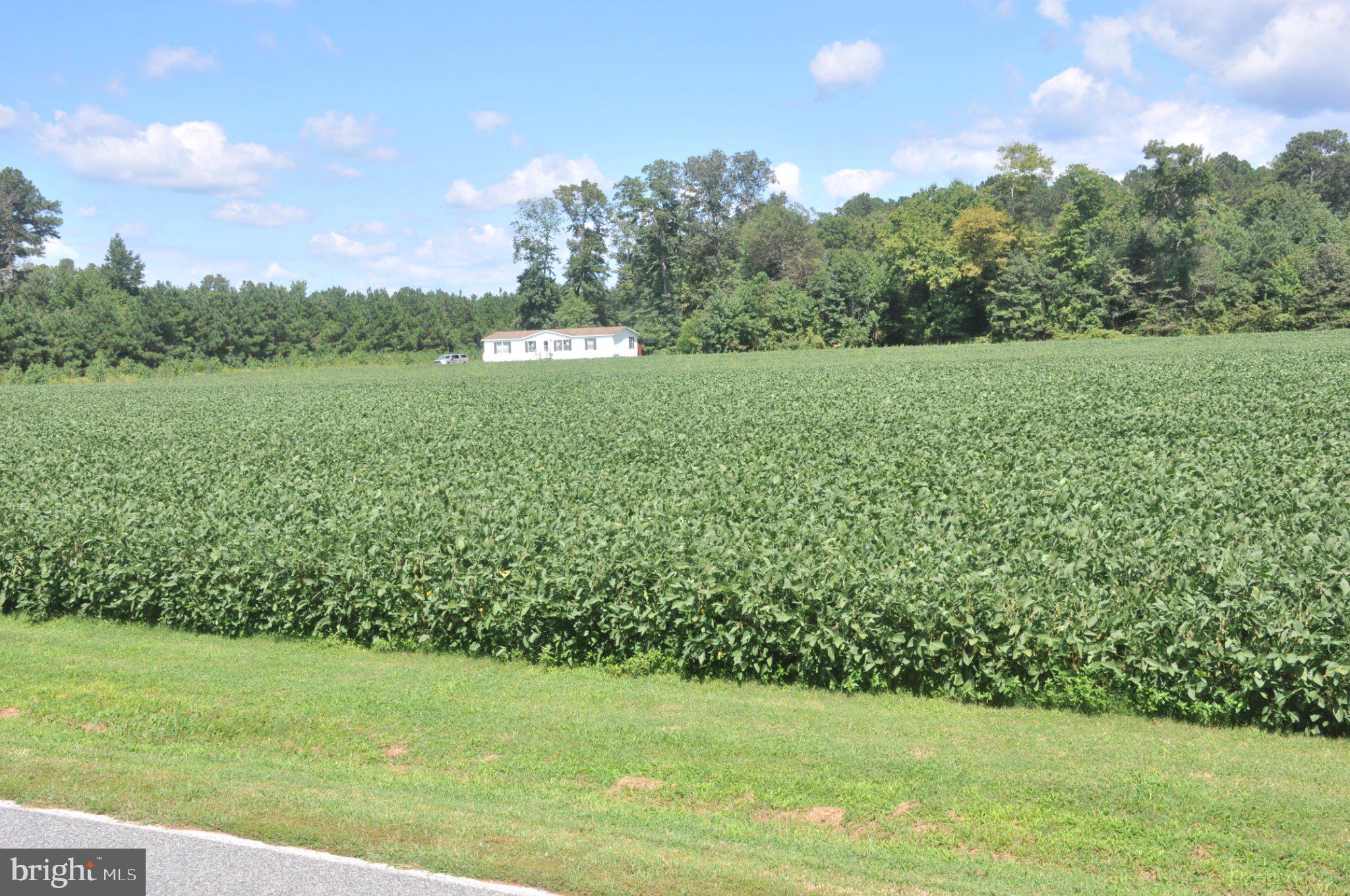 7273 MENNONITE CHURCH ROAD