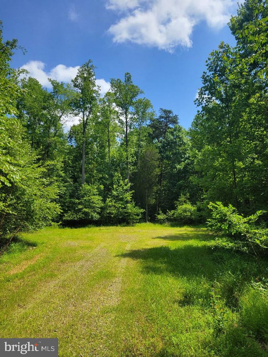 Discover the perfect opportunity to build your dream home on this spacious 45-acre lot in Orange County. Originally part of a larger estate, this property is among only two other beautiful, newer homes, ensuring privacy and a sense of exclusivity.

Enjoy the scenic drive up Maple Bottom Drive, a beautifully maintained road leading to your future property. Don't miss the chance to own this large, pristine lot and create the home you've always envisioned.

The current owner initially purchased this land for hunting, but the possibilities are endless for the new owner. Please note that soil work has never been completed.