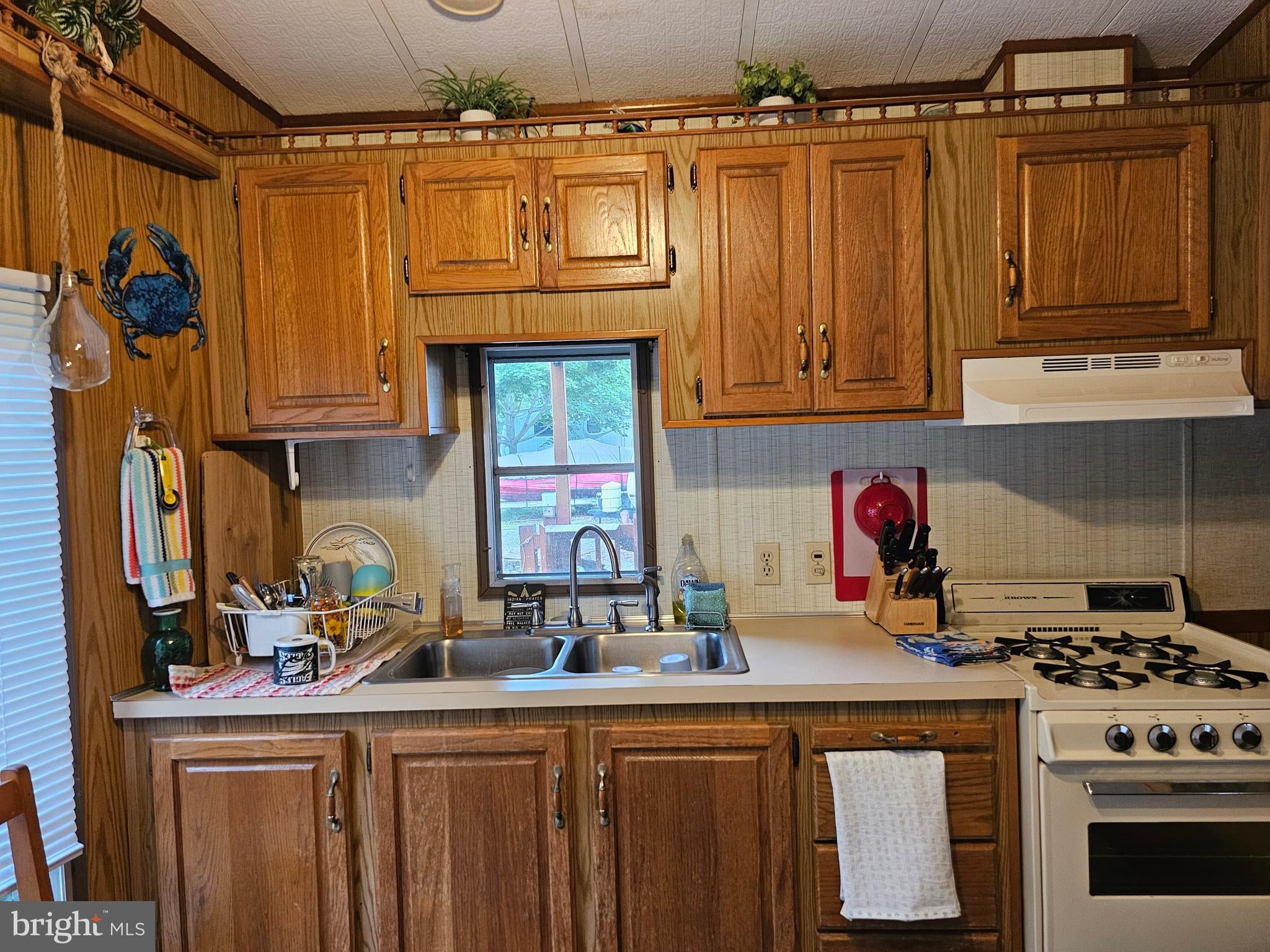 203,202 OKLAWAHA LANE GLEN 9