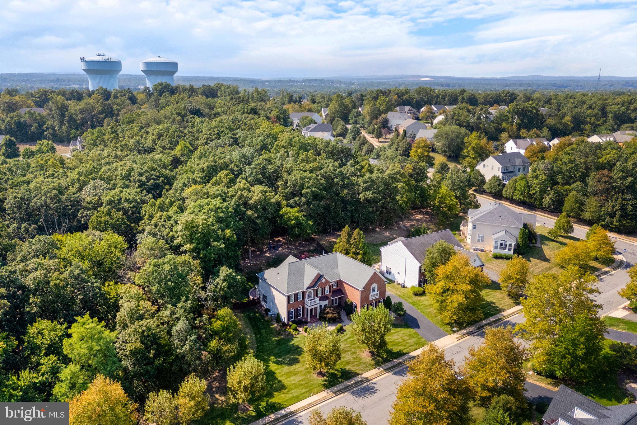 ESTATES OF FOREST RIDGE - Residential