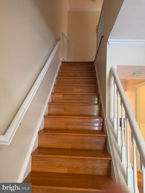 SHANNON STATION - Residential Lease