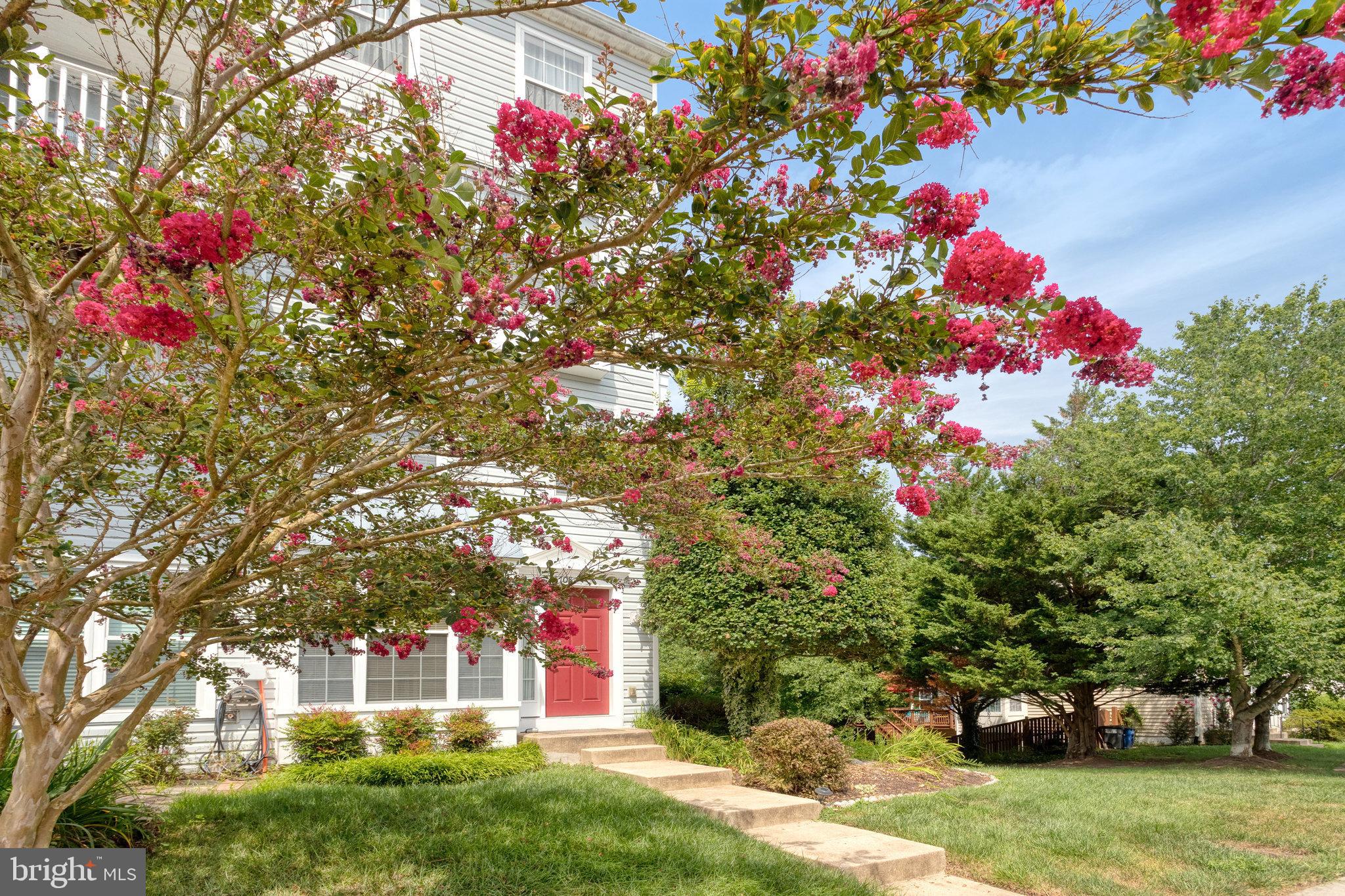 11708 TOLSON PLACE 11708