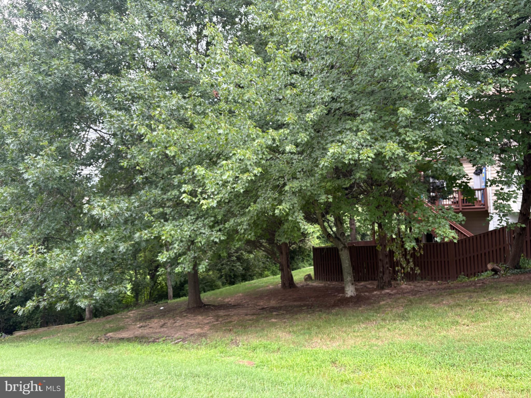 11708 TOLSON PLACE 11708