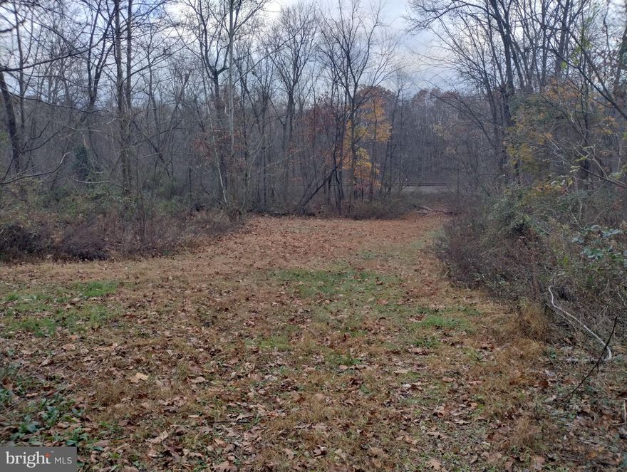This 39.57 acres with 8/10 of a mile road frontage on State Route 333 between Thompsontown and Port Royal has great potential.  This land is narrow and long and is between State Route 333 and the railroad.  While the land has never been tested for a septic, with passing tests there could be subdivision potential.  Even without passing perk tests, you may be able to make several recreational camping lots.  Bring your imagination and go hike this property today.