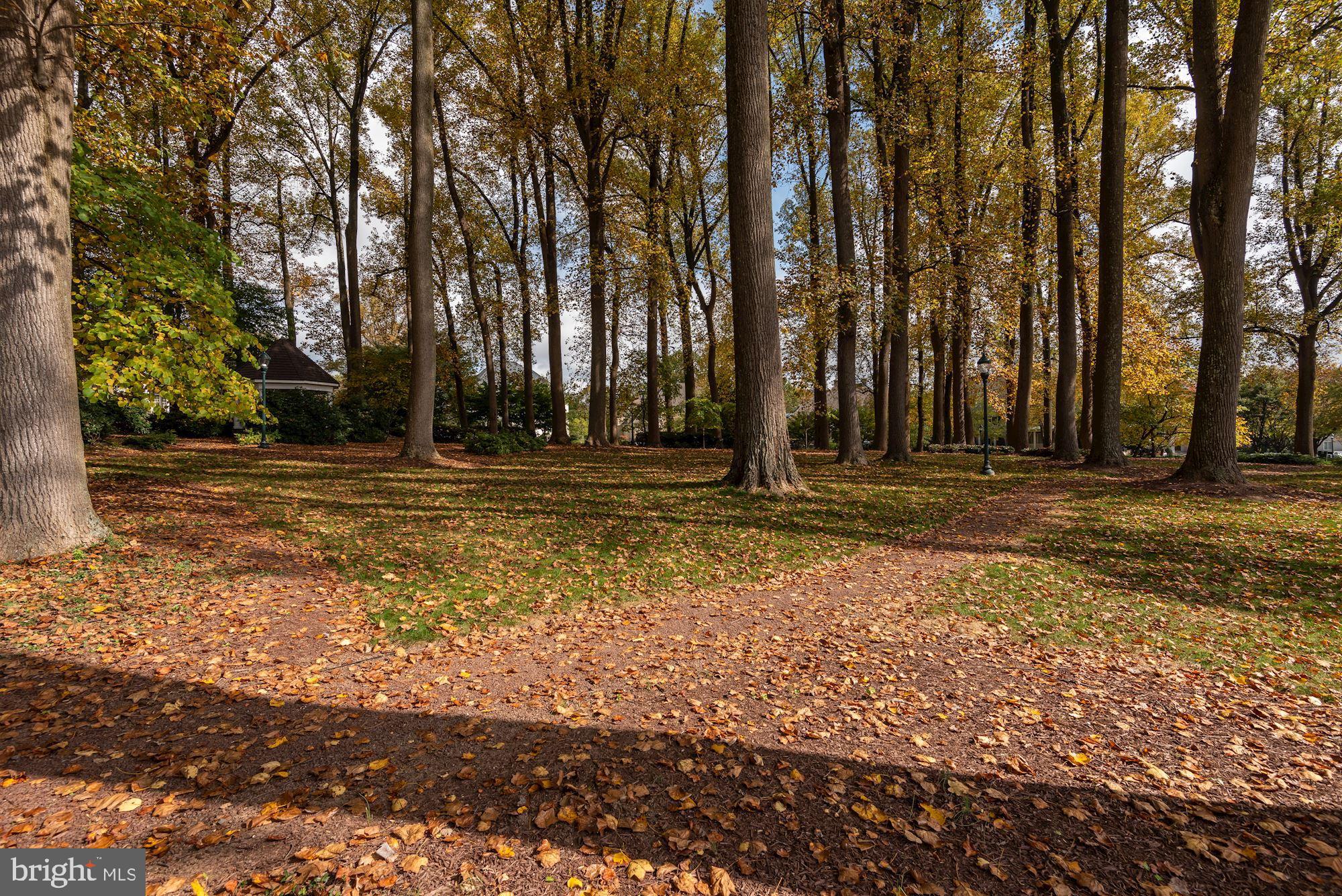 AVENEL - Residential