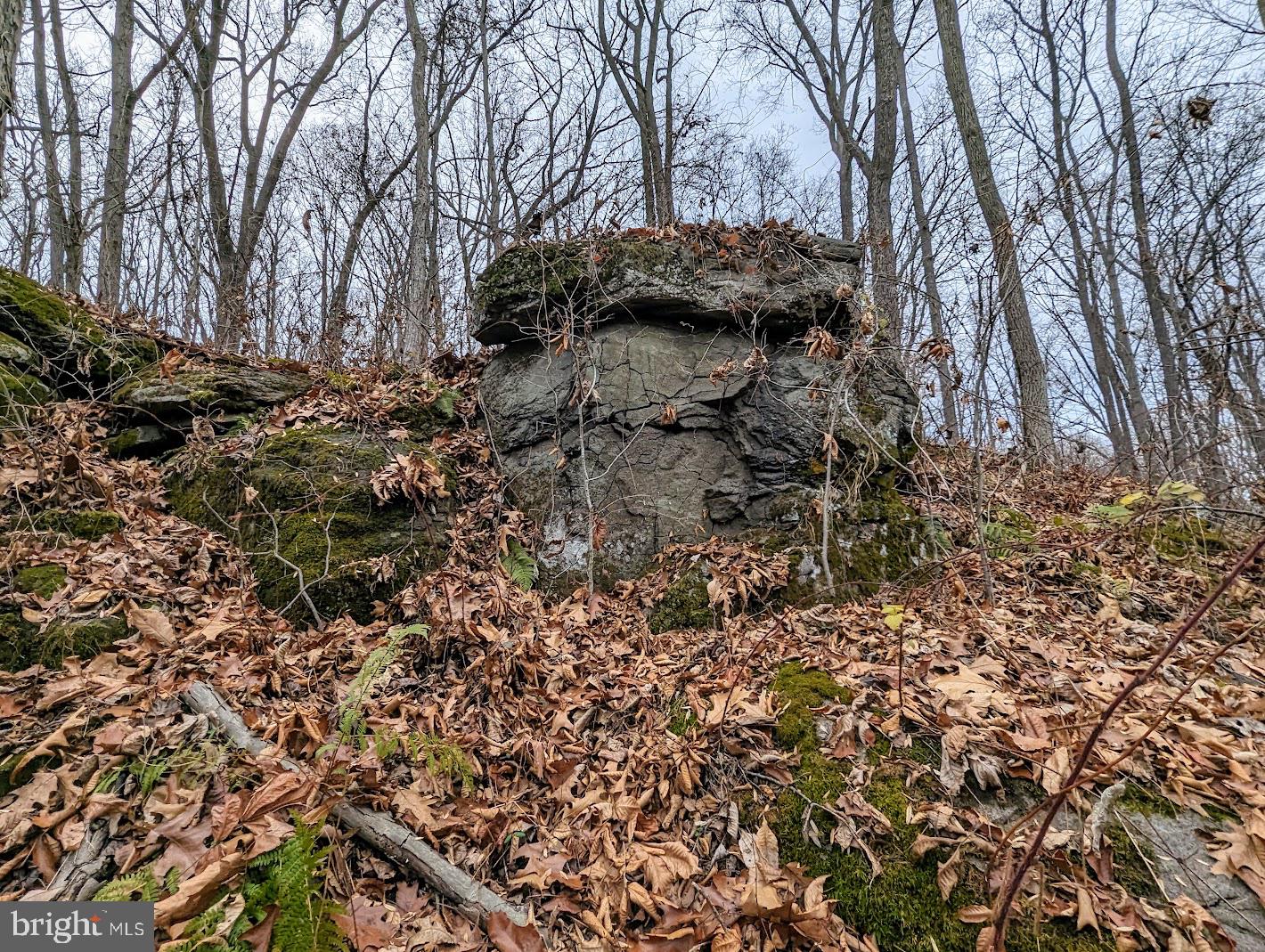 WARRINGTON TWP - Residential