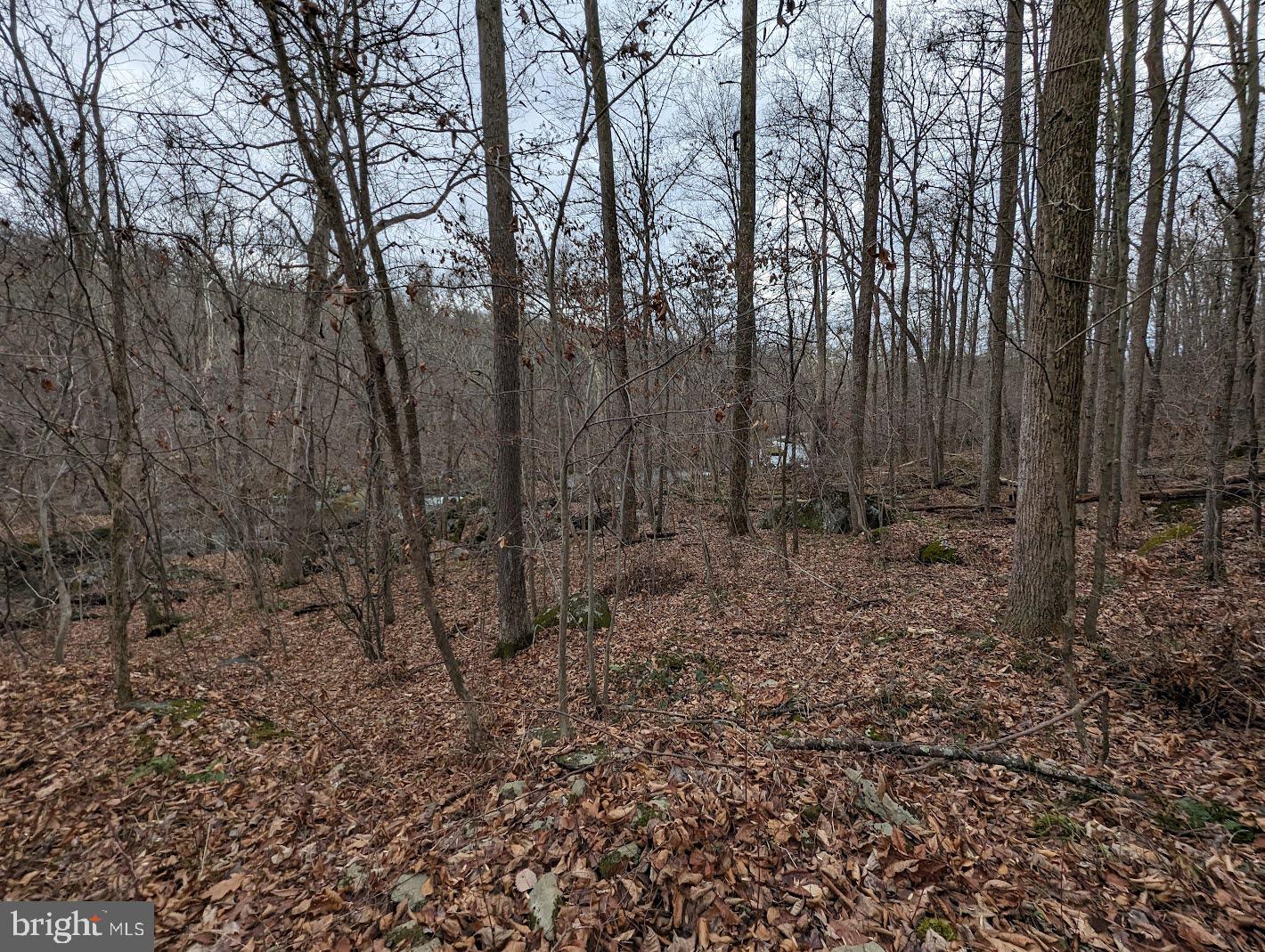 WARRINGTON TWP - Residential