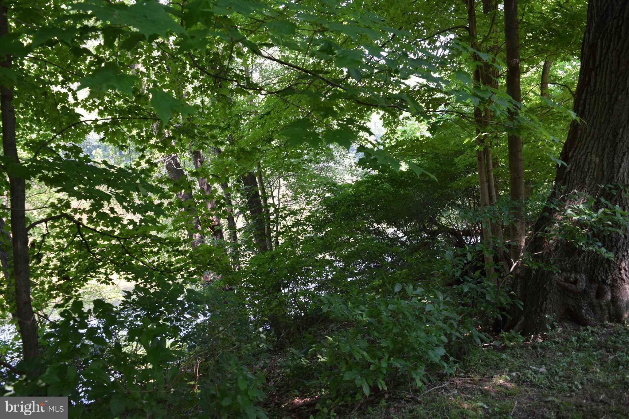 NONE AVAILABLE - Land