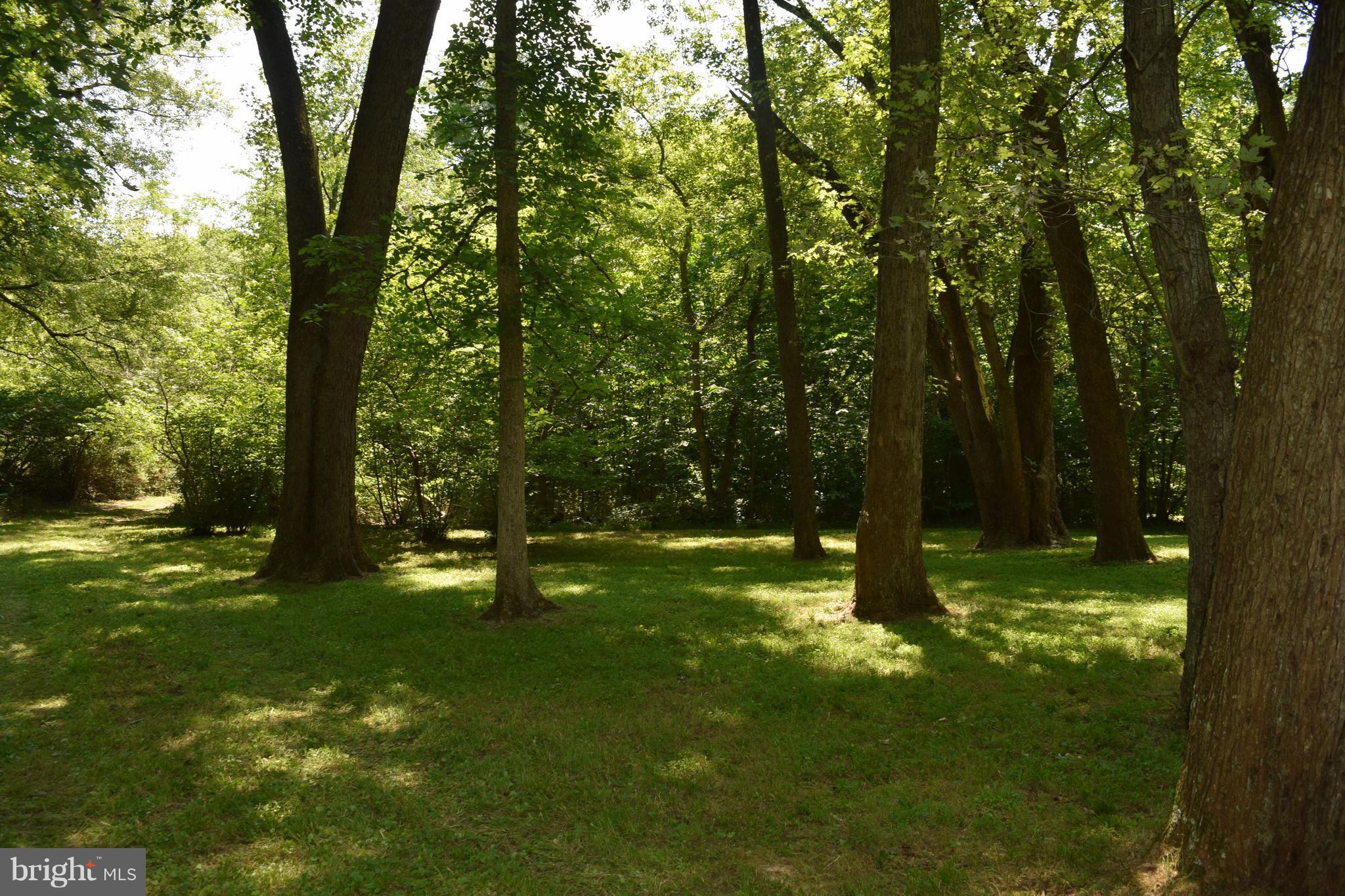 NONE AVAILABLE - Land