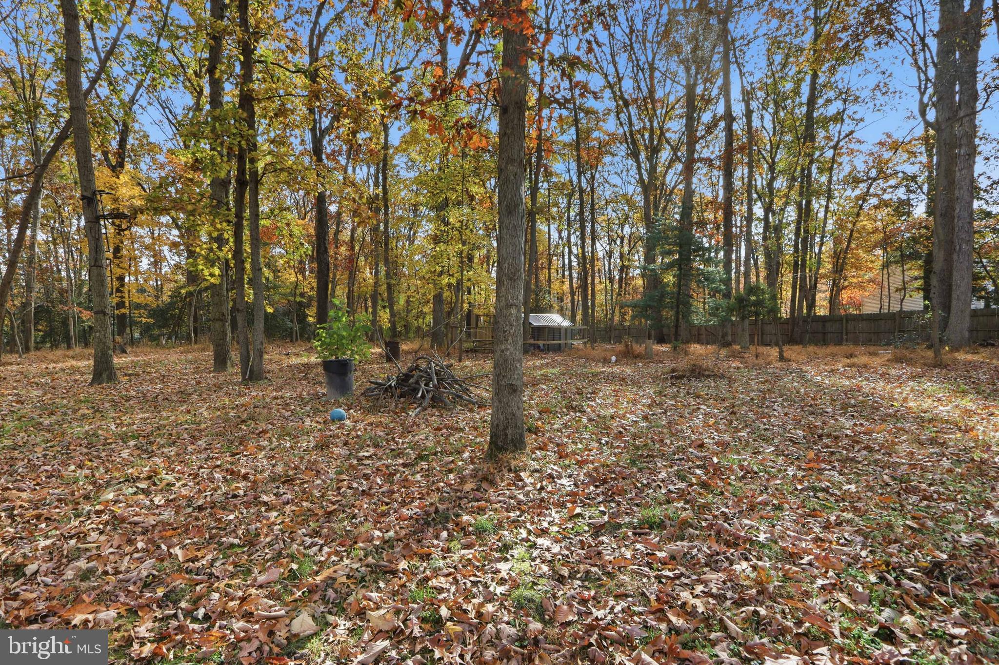 LAKE SHORE - Residential Lease