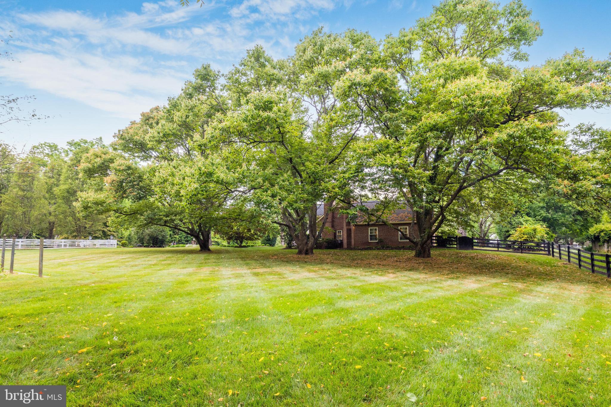 PROSPECT HILL - Residential