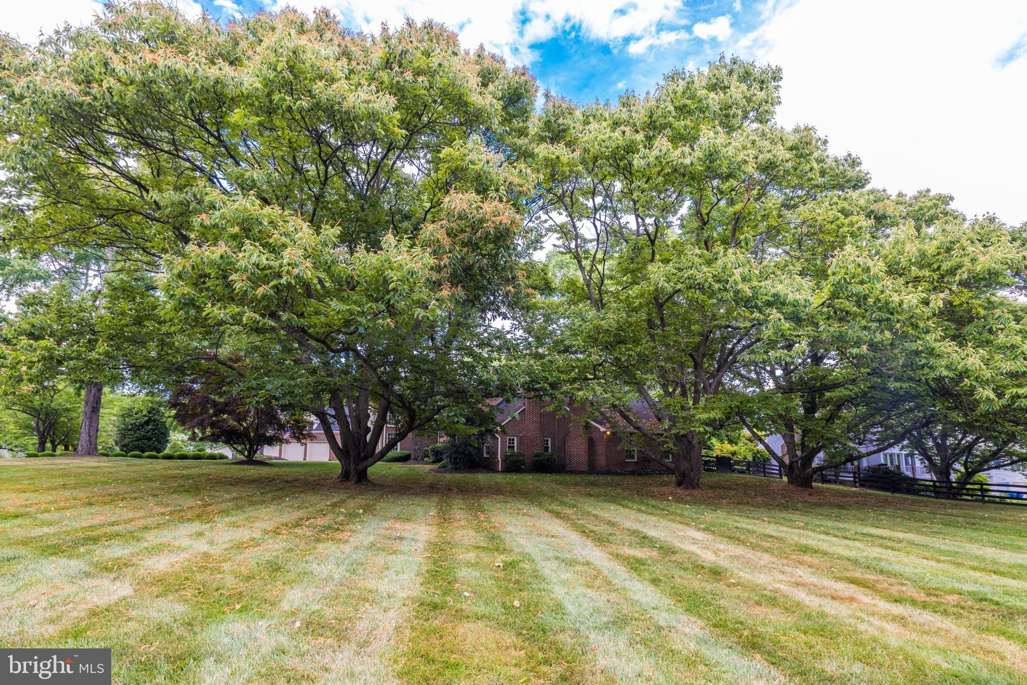 PROSPECT HILL - Residential