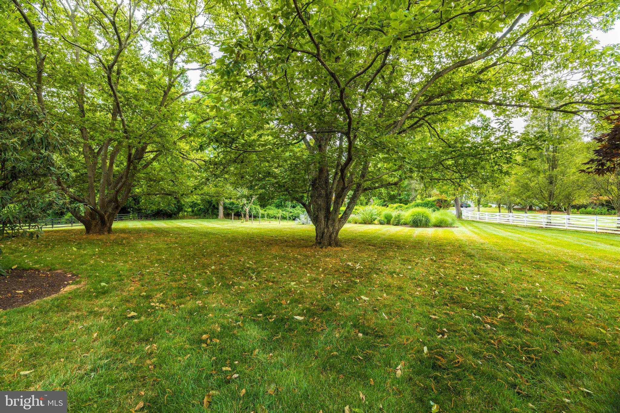 PROSPECT HILL - Residential