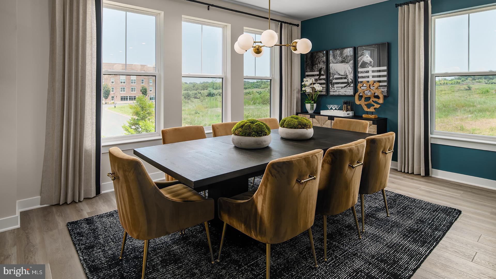 MONTGOMERY VILLAGE - Residential