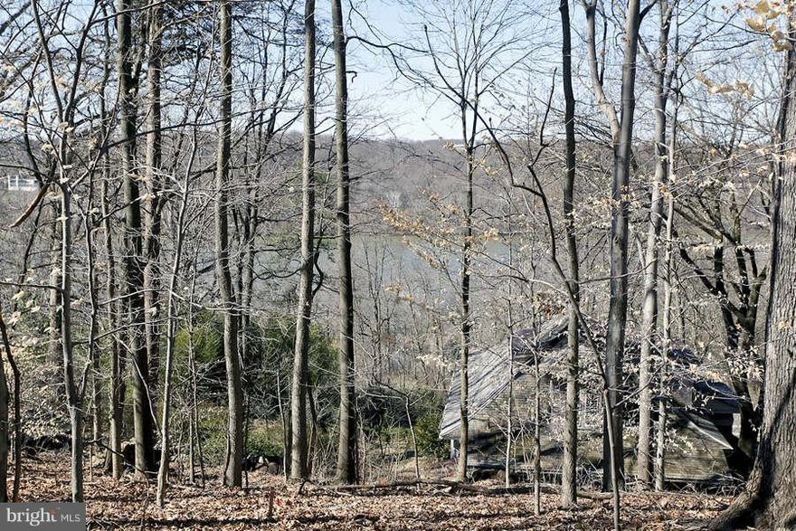 3.0% Co-op Comm. STUNNING POTOMAC RIVER VIEWS! Overlooking the Potomac River with Opportunity to develop land and build your custom dream home on 29,404 square foot/0.67 Acres (Lots 53 and Lots 54). Contact listing agent for limited feasibility study documents.This listing has two separate tax IDs: 160700508948 and 160703706383