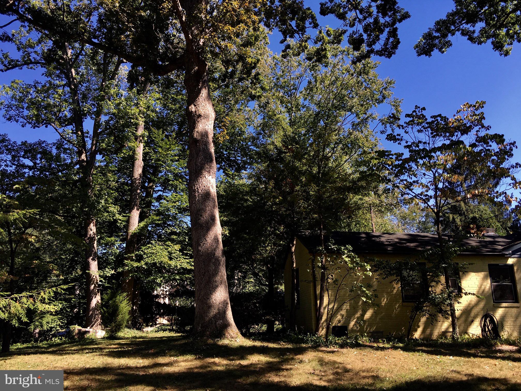 MASS AVE FOREST - Residential