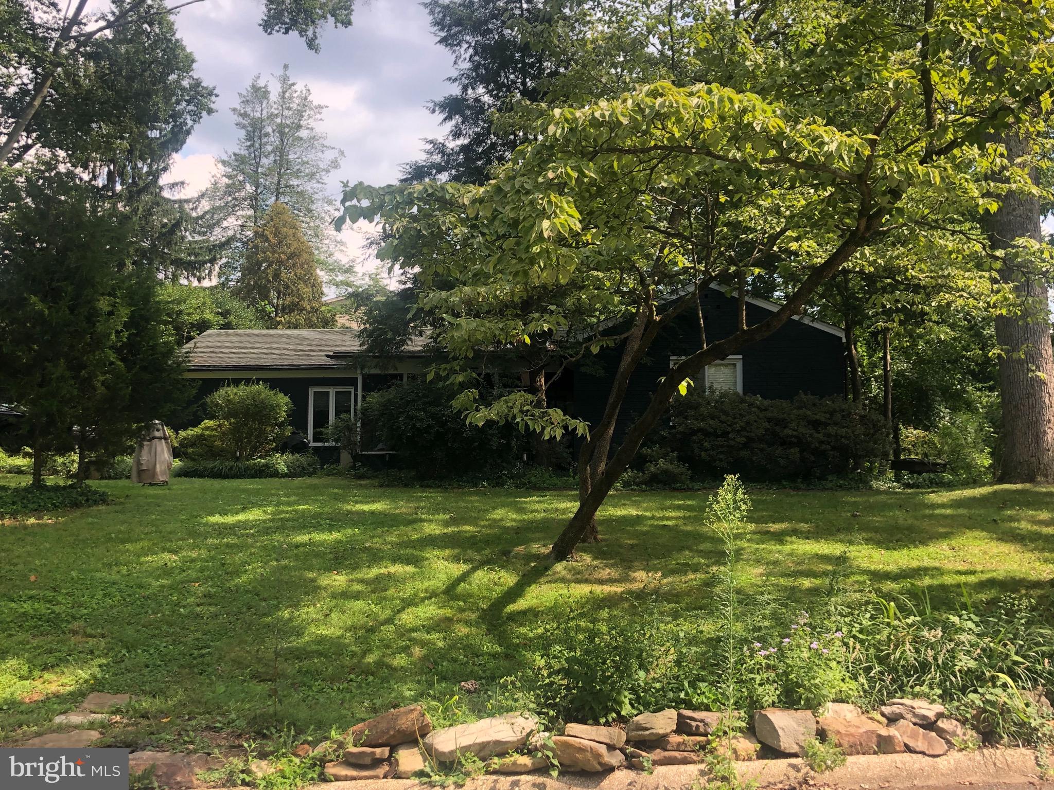 MASS AVE FOREST - Residential