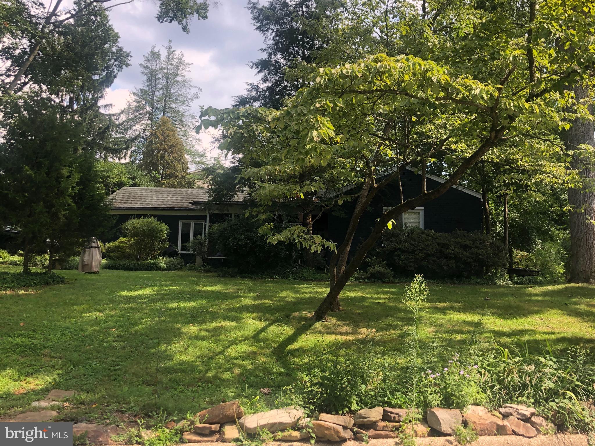 MASS AVE FOREST - Residential