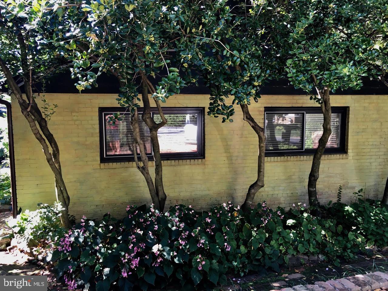 MASS AVE FOREST - Residential