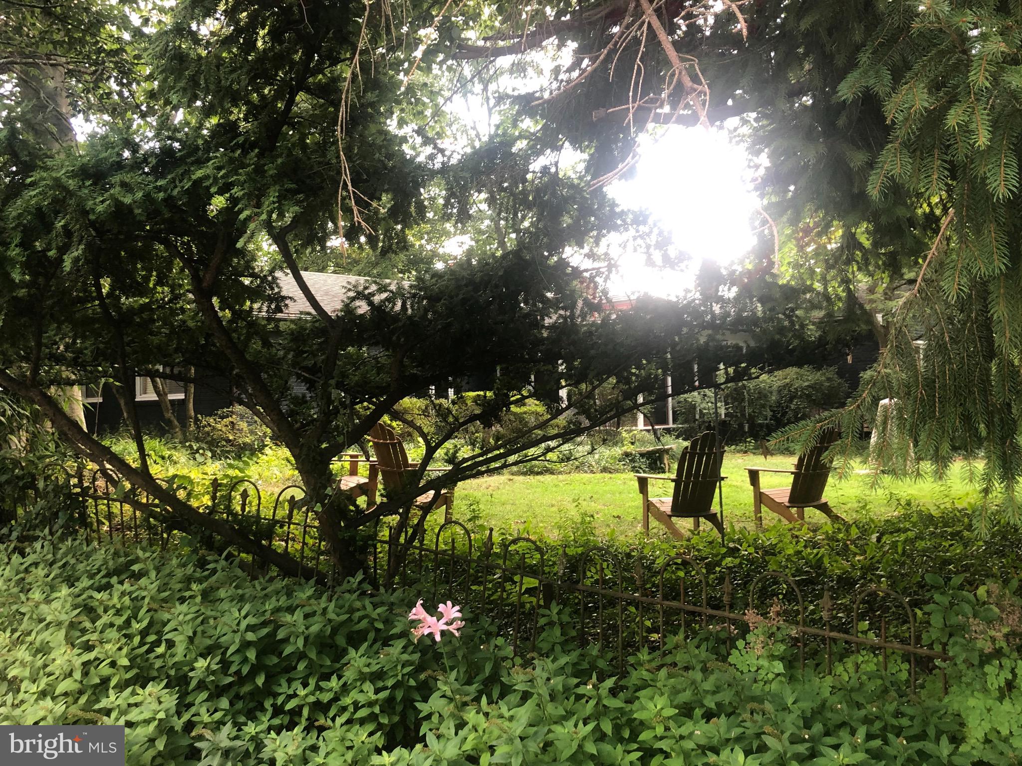 MASS AVE FOREST - Residential