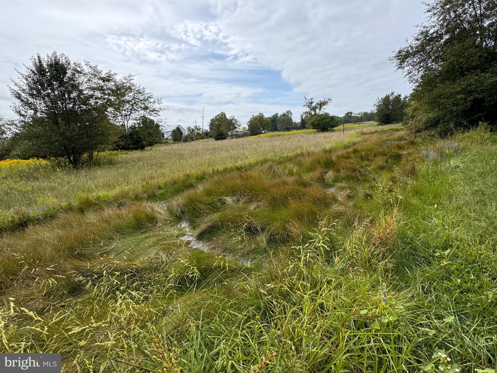 SUMMIT POINT - Residential