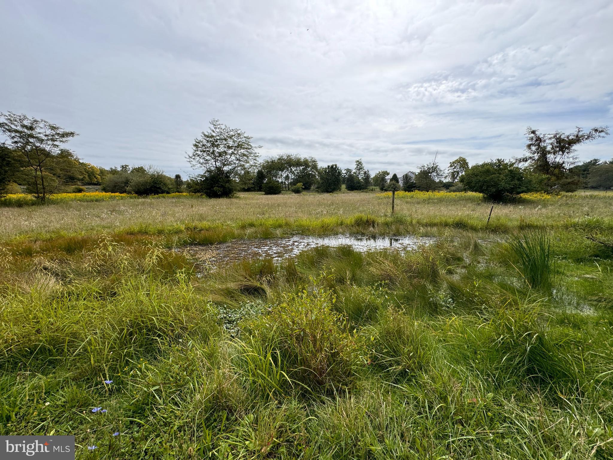 SUMMIT POINT - Residential