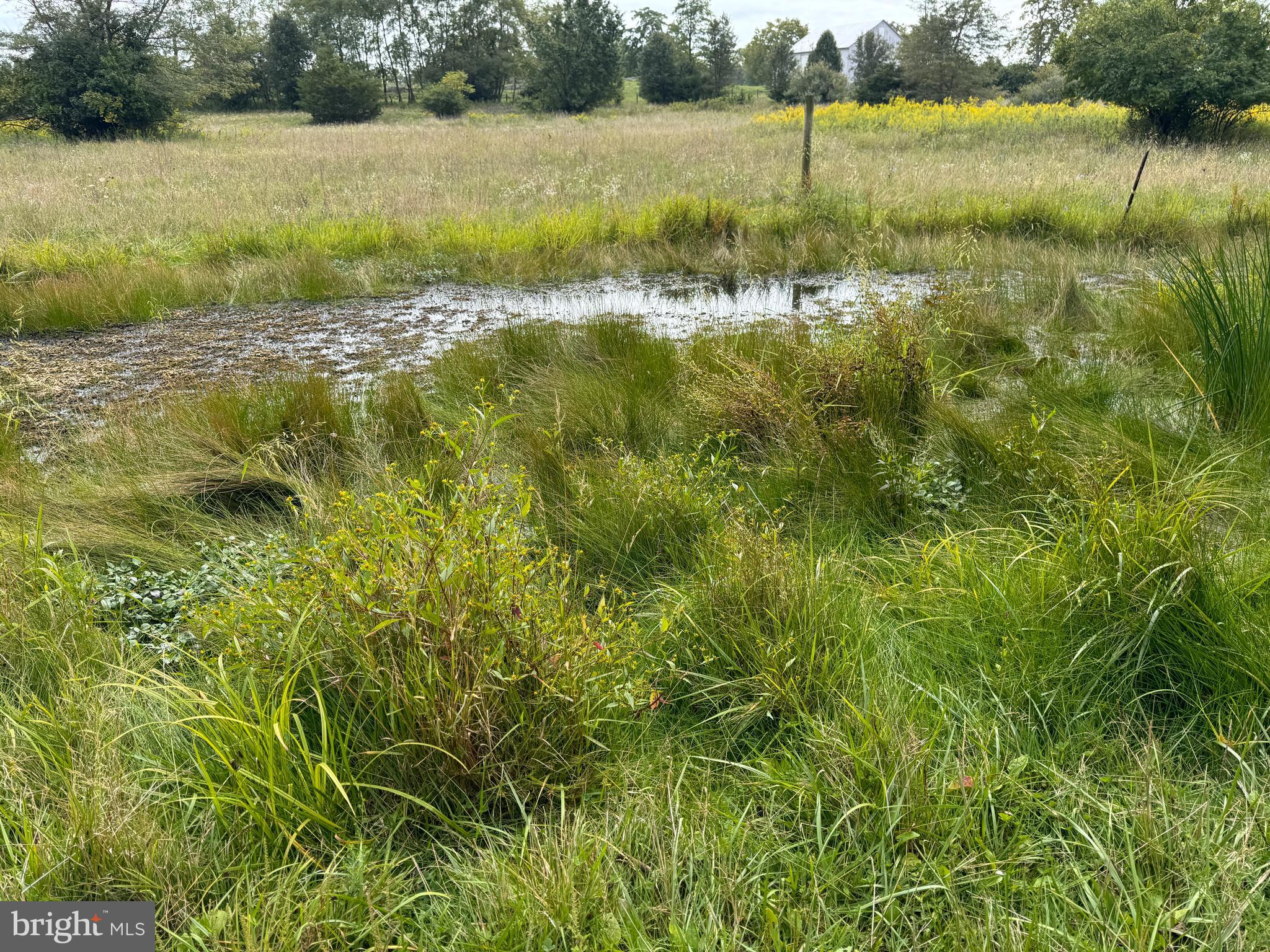 SUMMIT POINT - Residential